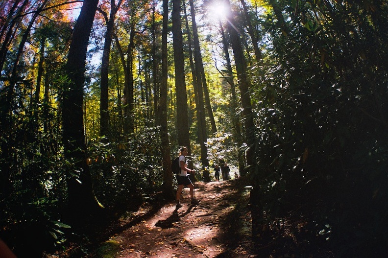 Great Smoky Mountains in the Fall 4.jpg